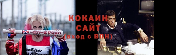 стаф Пересвет