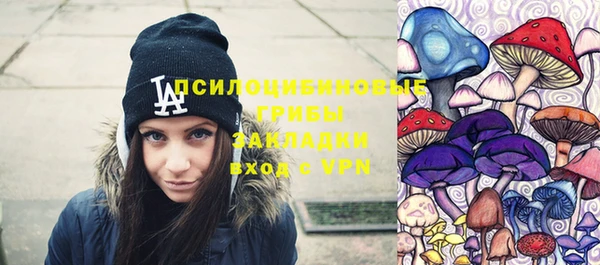 винт Осташков