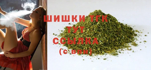 стаф Пересвет