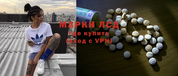 стаф Пересвет