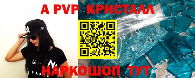стафф Гатчина
