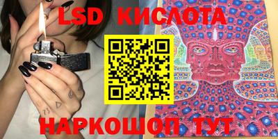 стафф Гатчина