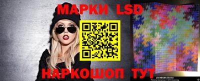 стафф Гатчина