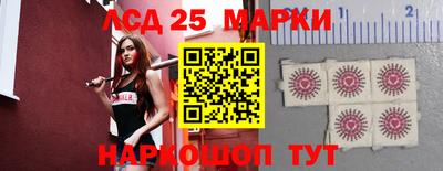 стафф Гатчина
