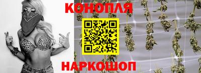 стафф Гатчина