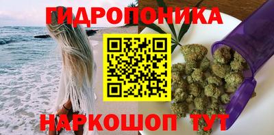 стафф Гатчина