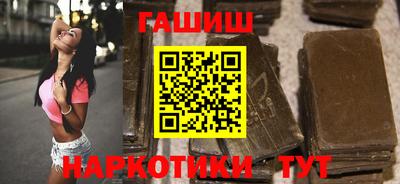 спиды Гай