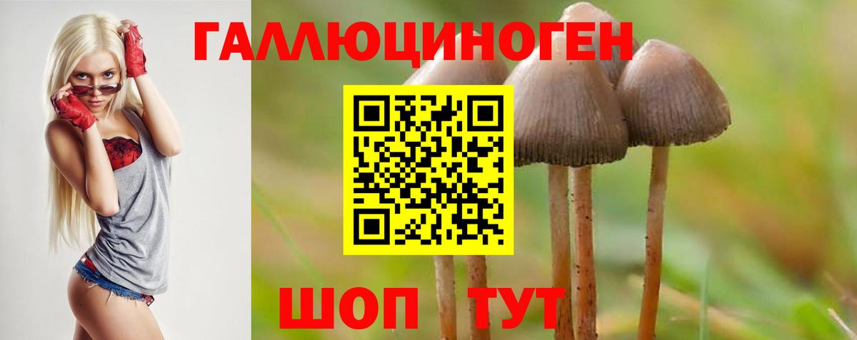 Псилоцибиновые грибы MAGIC MUSHROOMS Чита